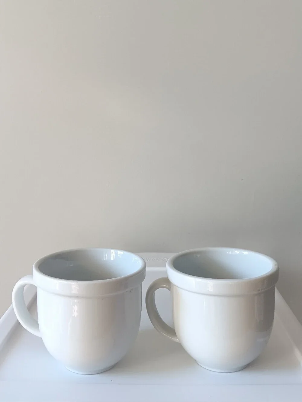 Pottery Barn Ceramic Classic Coffee Mugs White Set of 2 Handled Thick Rim Bistro